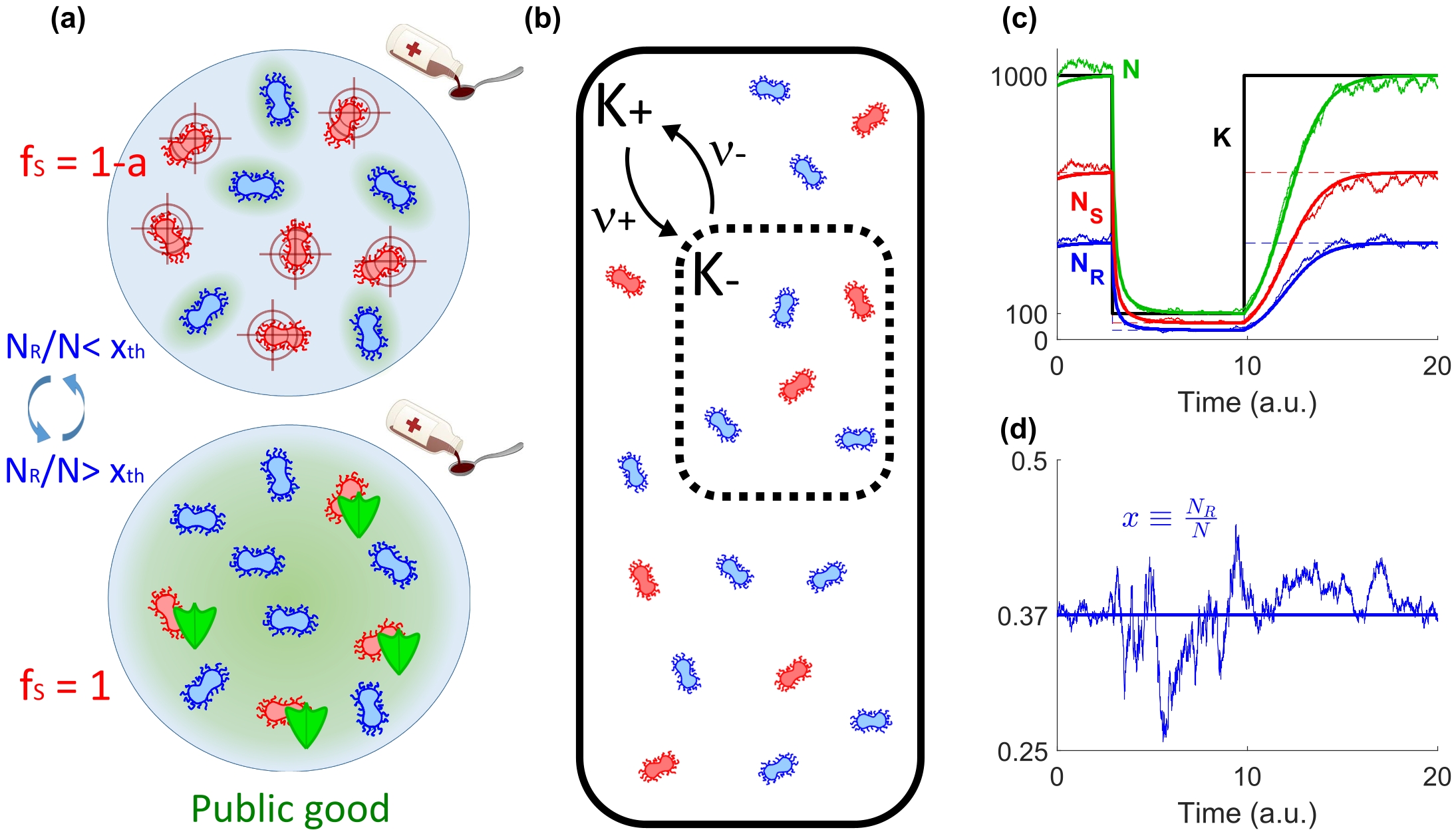 Eco‑Evolutionary Dynamics