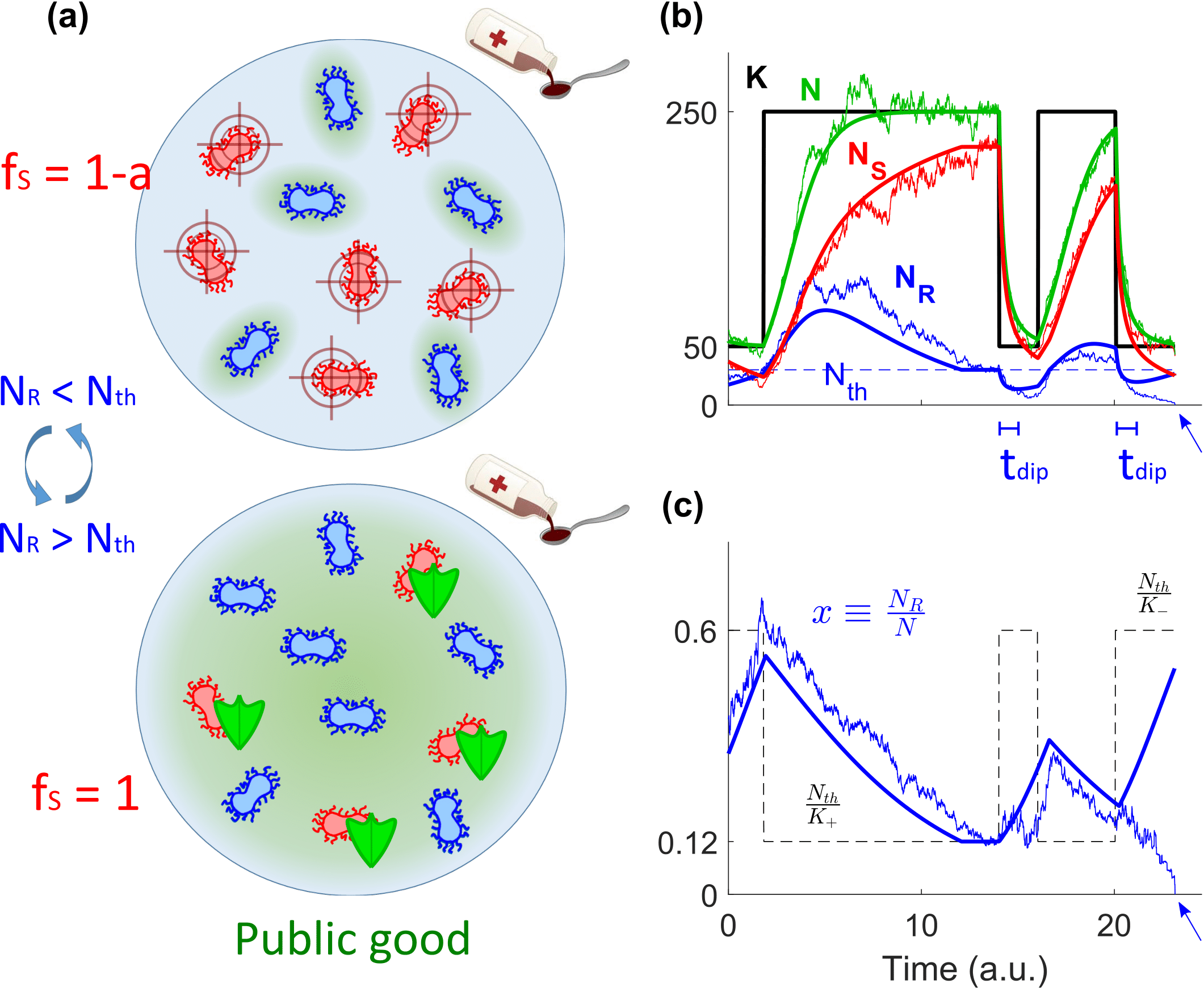 Coupled Environmental and Demographic Fluctuations