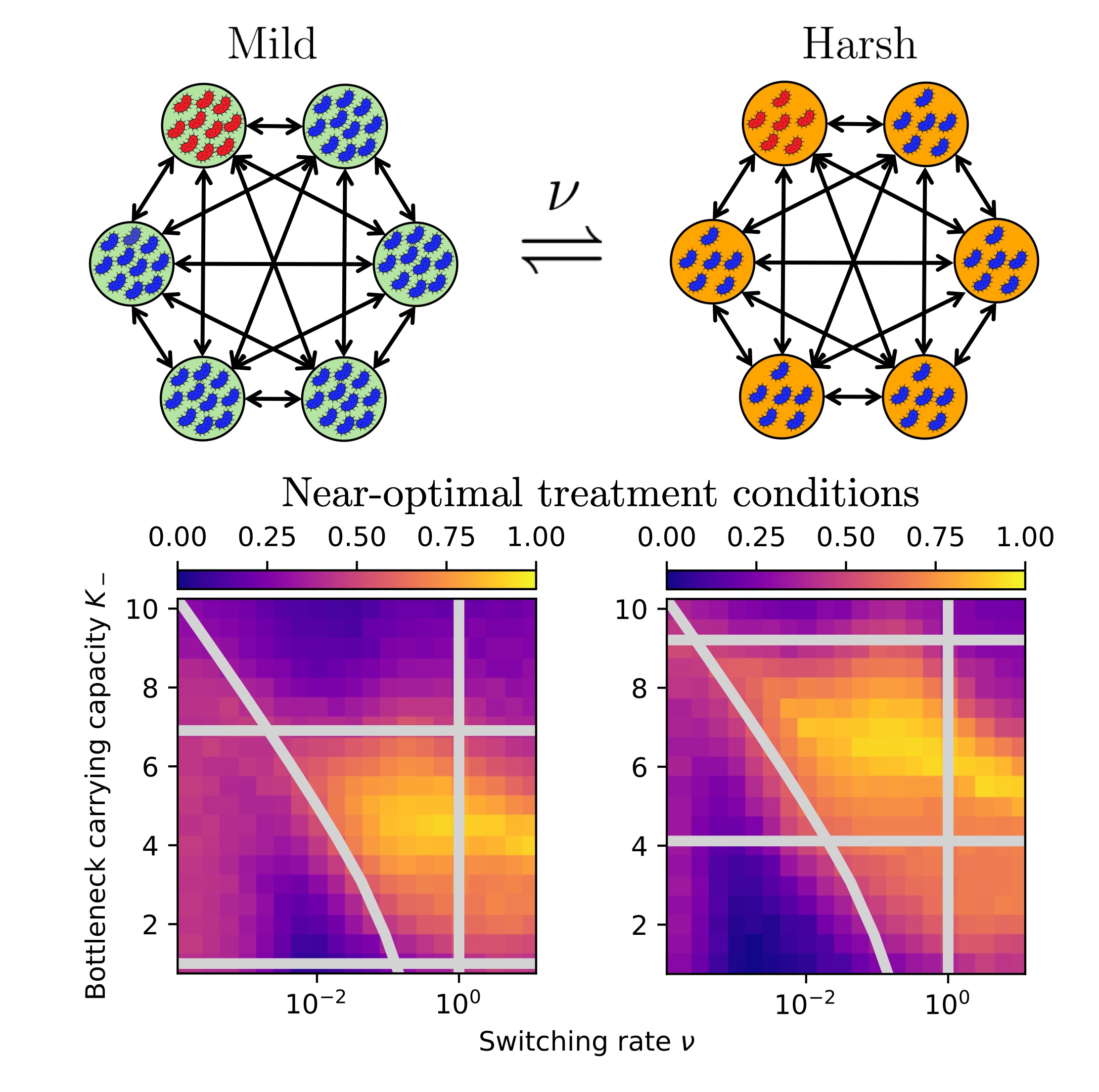 Fixation and Extinction paper